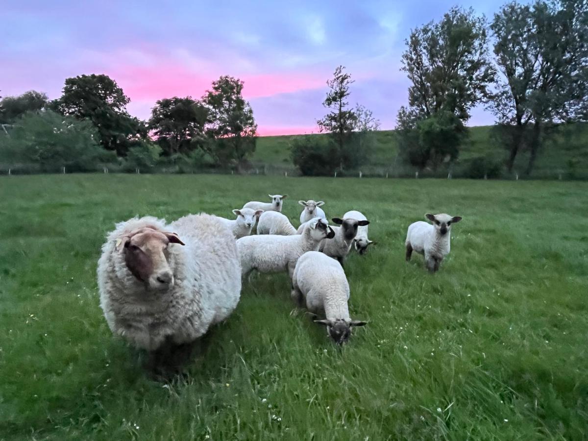 Reetkate Kaltenhoern Tetenbull Luaran gambar